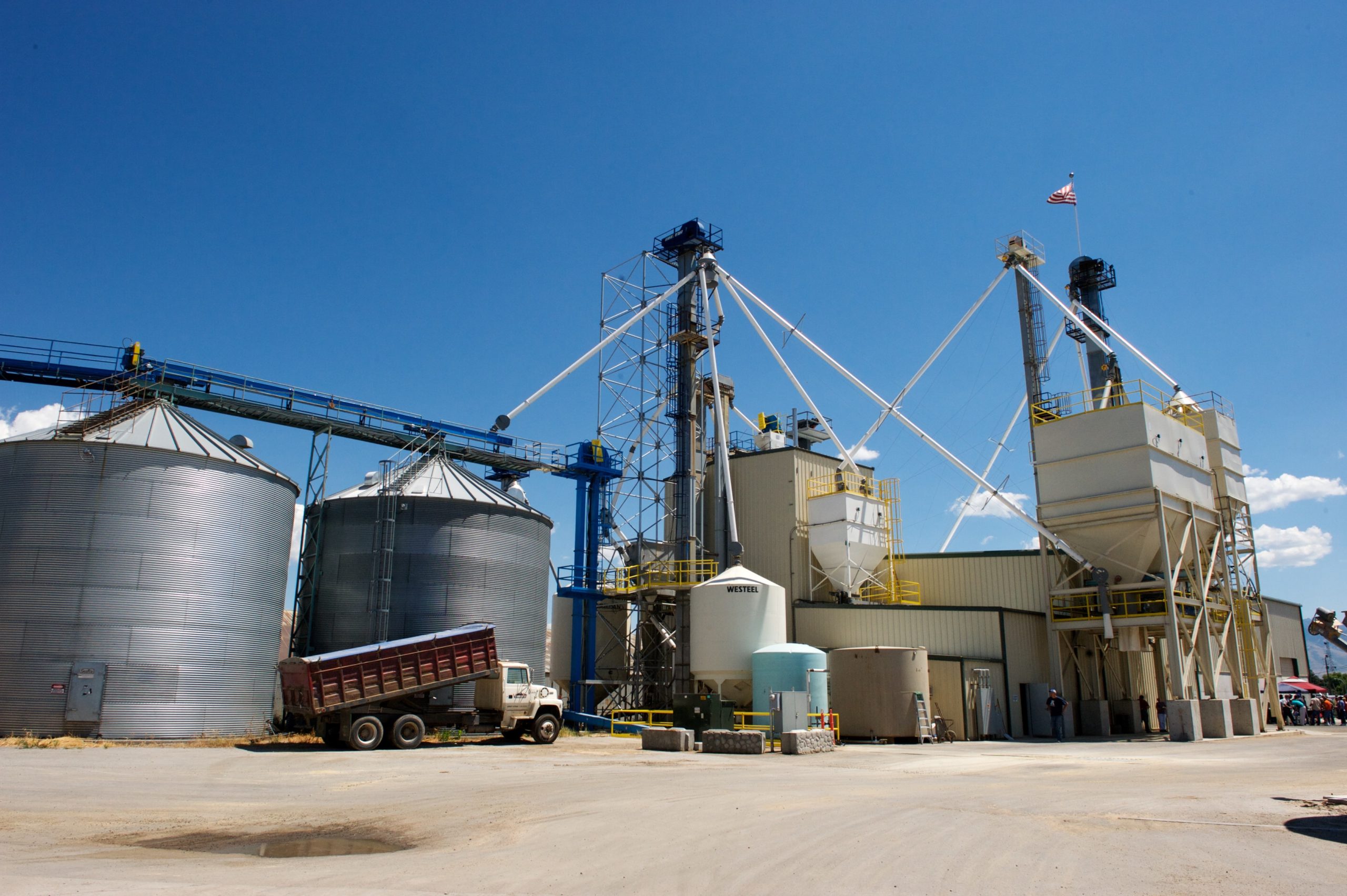 Grain / Feed Mill Plant