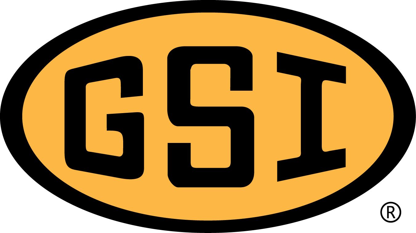 GSI