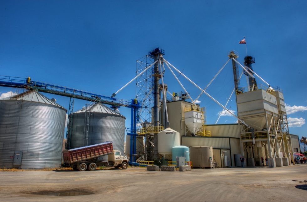 Design Tips for New Feed Mills Halverson